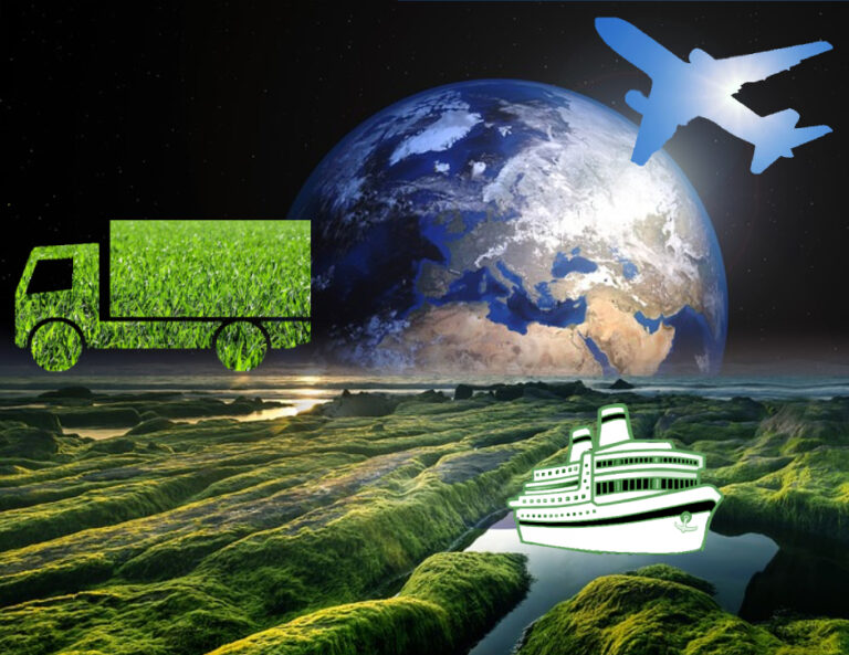 Sustainability endeavours in the transportation and logistics industry