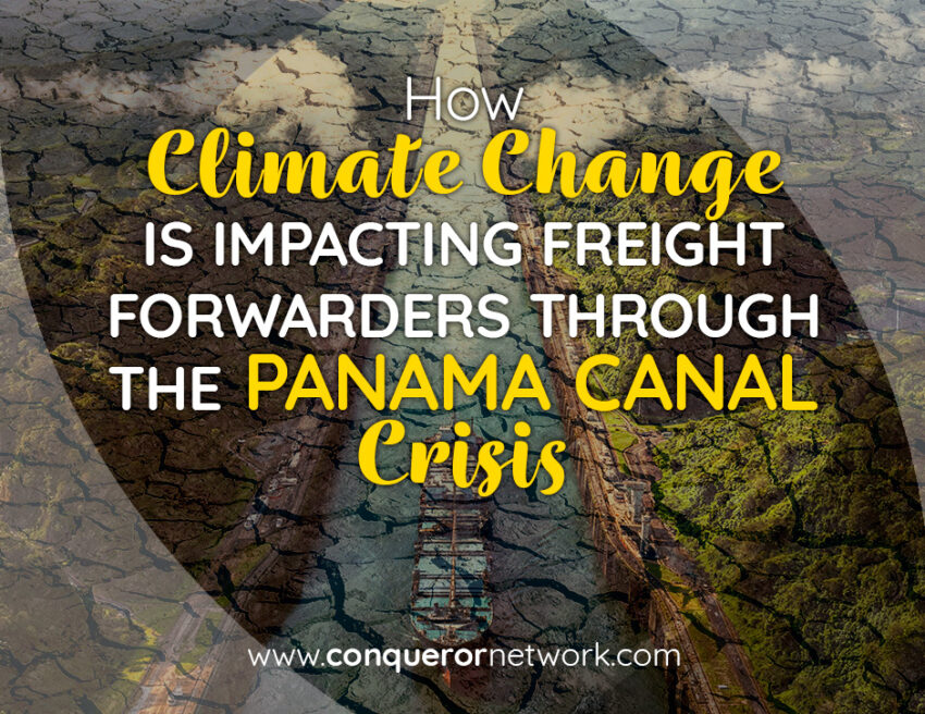 Freight Forwarders